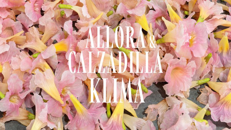 "ALLORA & CALZADILLA: KLIMA" Imagen de portada