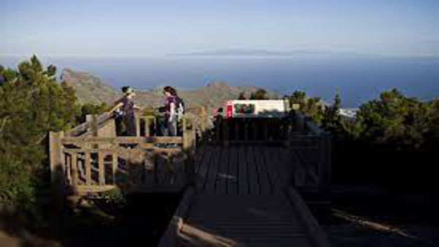 Senderismo - Cultura / Arte - Ruta cultural -  MIRADOR LLANO DE LOS LOROS (TENERIFE) - SANTA CRUZ DE TENERIFE