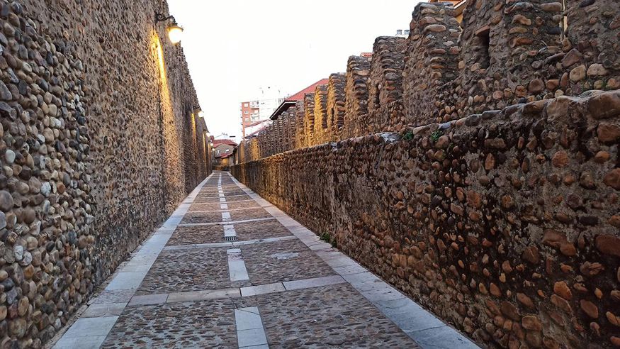 Museos y monumentos - Ruta cultural -  Tour por el León medieval y la judería - LEON