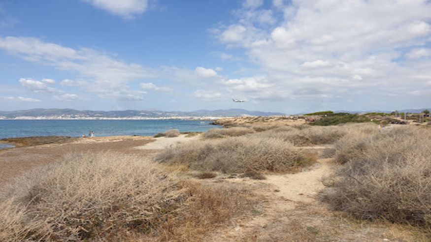 Kitesurf - Deportes agua - Kayak -  Es Carnatge - PALMA