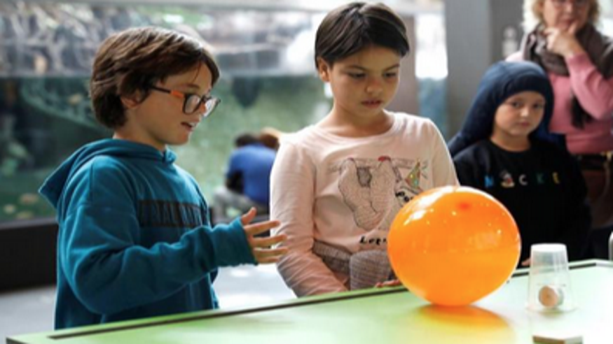 Talleres - Otros juegos - Infantil / Niños -  Retos de ciencia  - SEVILLA