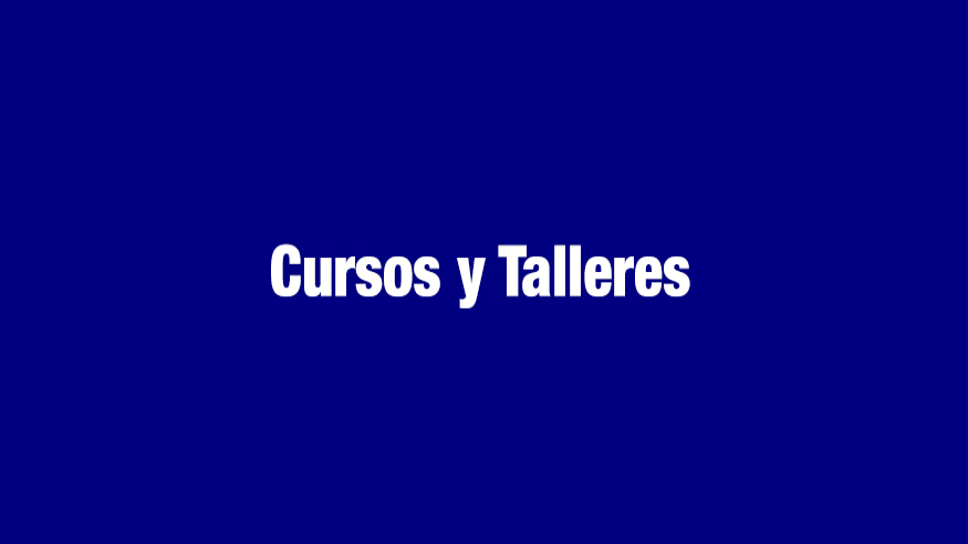 Talleres - Cursos - Flamenco -  Taller 'Palmes flamenques' - BARCELONA