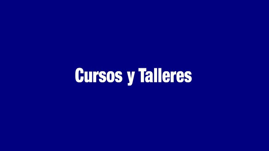 Talleres - Deportes - Gimnasia -  Taller ''Gimnàstica funcional' - BARCELONA