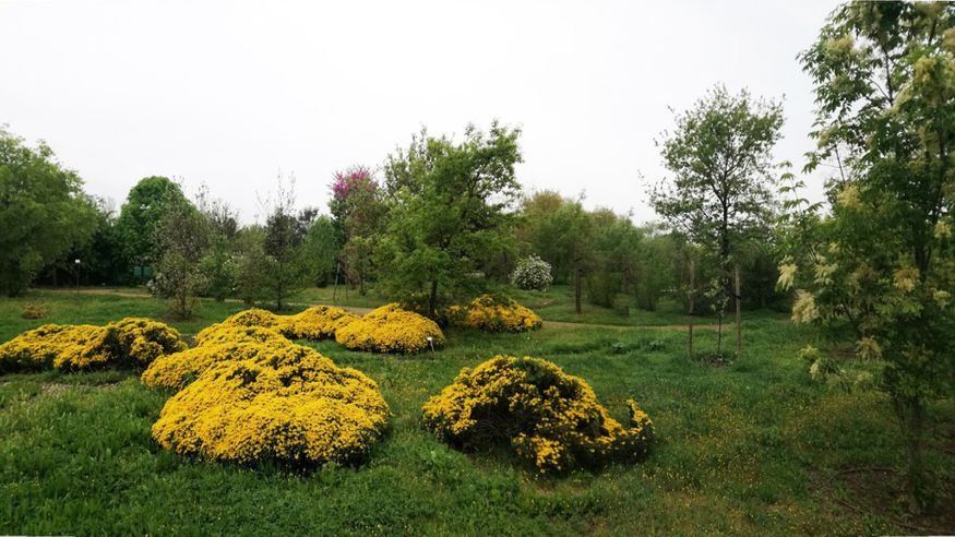 Parques - Formación / Bienestar - Cultura / Arte -  Arborètum - Jardín Botánico de Lleida - LLEIDA