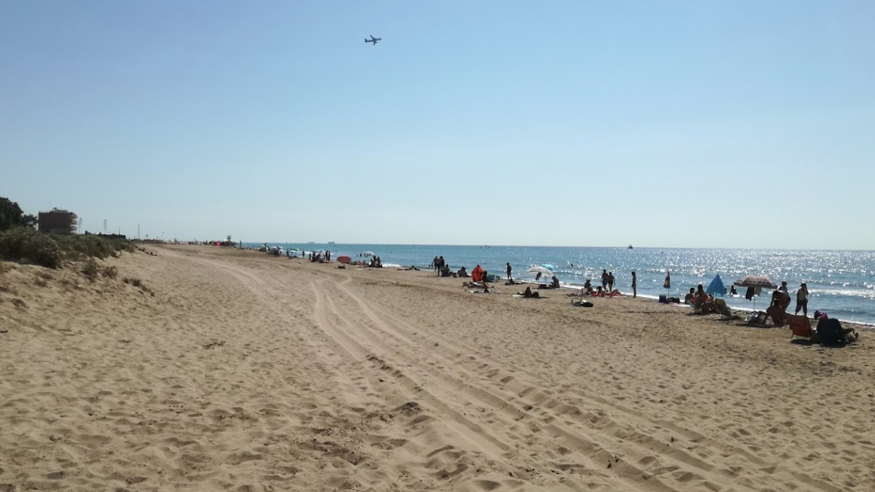 Infantil / Niños - Deportes agua - Vóleibol -  PLAYA DE PINEDA - TARRAGONA