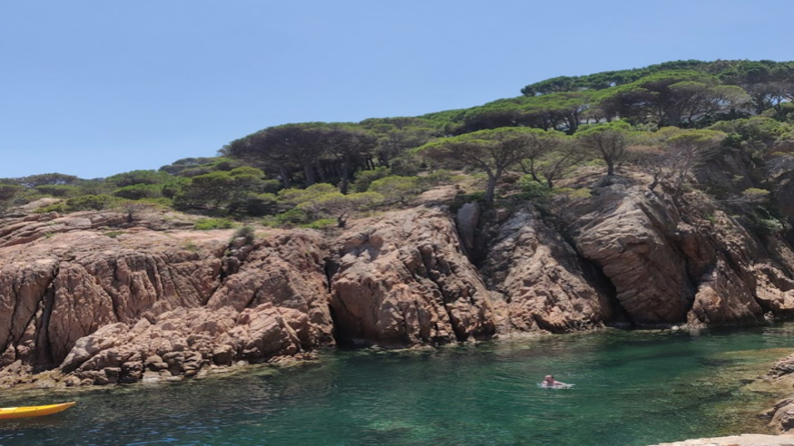 Submarinismo - Deportes agua - Pesca -  Cala del Peix - GIRONA