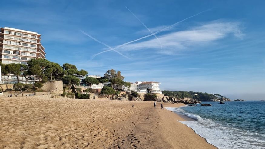 Infantil / Niños - Deportes agua - Windsurf -  Platja gran - GIRONA