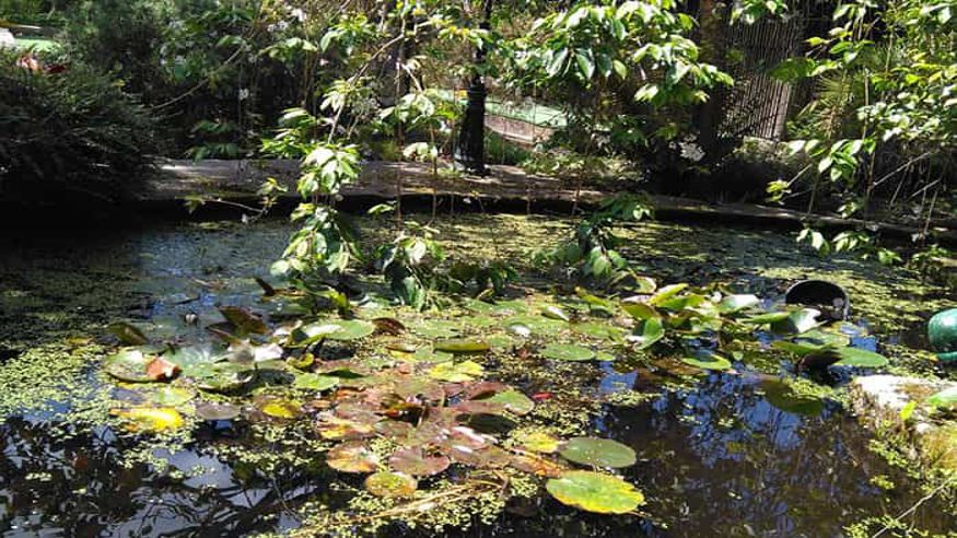 Parques - Infantil / Niños - Ruta cultural -  Jardín botánico Fundación Sales en Vigo, Pontevedra - PONTEVEDRA