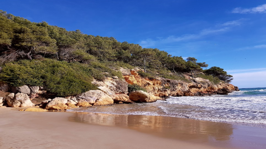 Infantil / Niños - Deportes agua - Windsurf -  Playa Cala la Móra - TARRAGONA