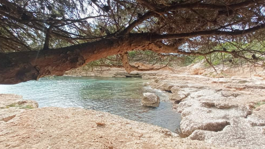 Submarinismo - Infantil / Niños - Deportes agua -  Cala Mosques - TARRAGONA