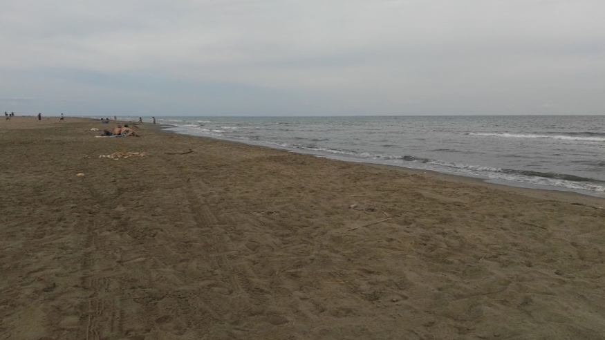 Infantil / Niños - Deportes agua - Windsurf -  Platja de Buda - TARRAGONA