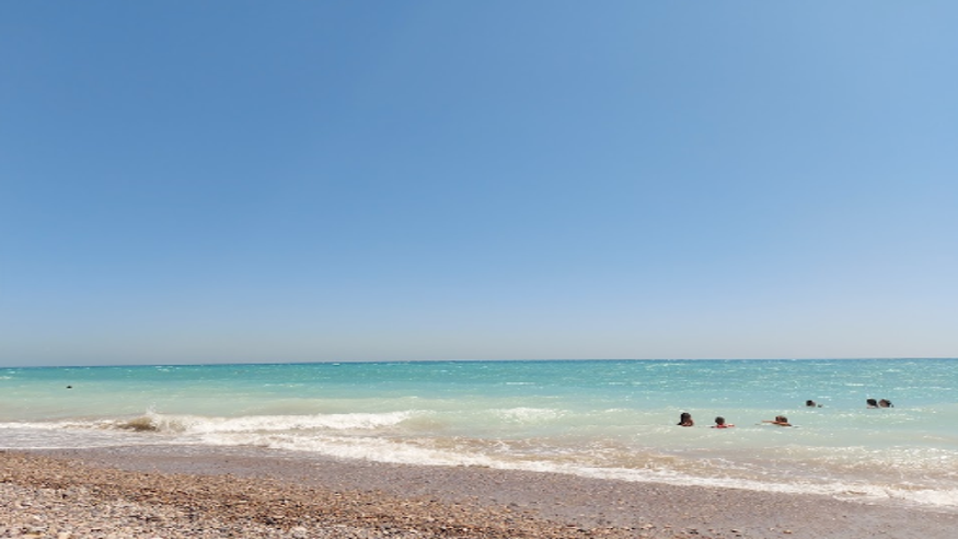 Infantil / Niños - Deportes agua - Paddle surf -  Playa de Almardá - CASTELLON DE LA PLANA