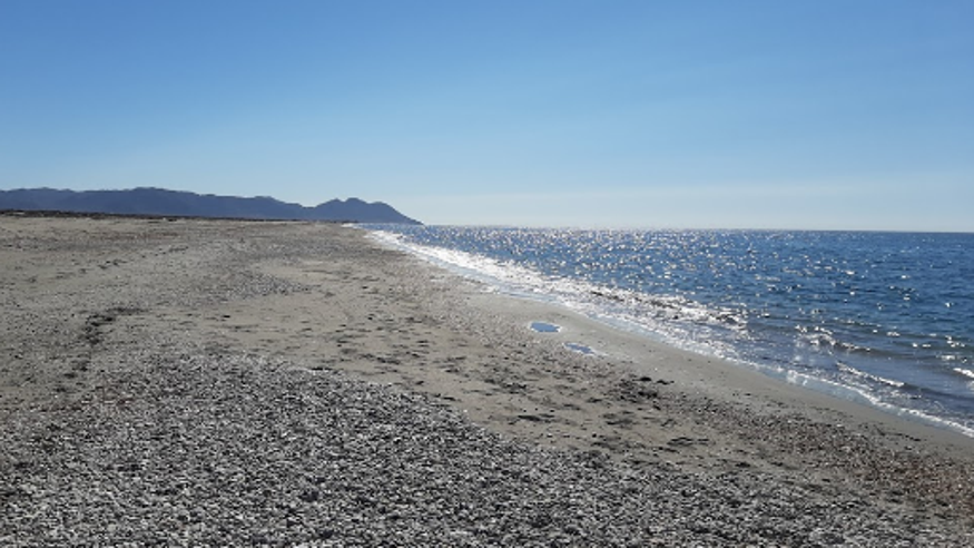 Natación - Infantil / Niños - Deportes agua -  Playa de las Amoladeras - ALMERIA