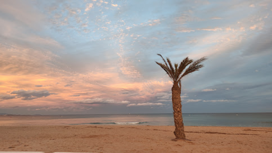 Infantil / Niños - Deportes agua - Paddle surf -  Playa de los Saladares - ALICANTE/ALACANT