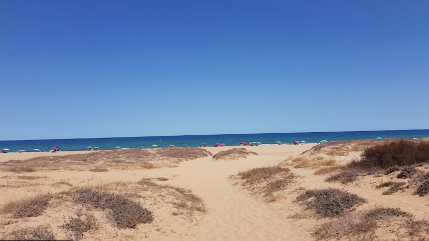 Animales y mascotas - Infantil / Niños - Deportes agua -  Playa Libre del Saladar Urbanova - ALICANTE/ALACANT