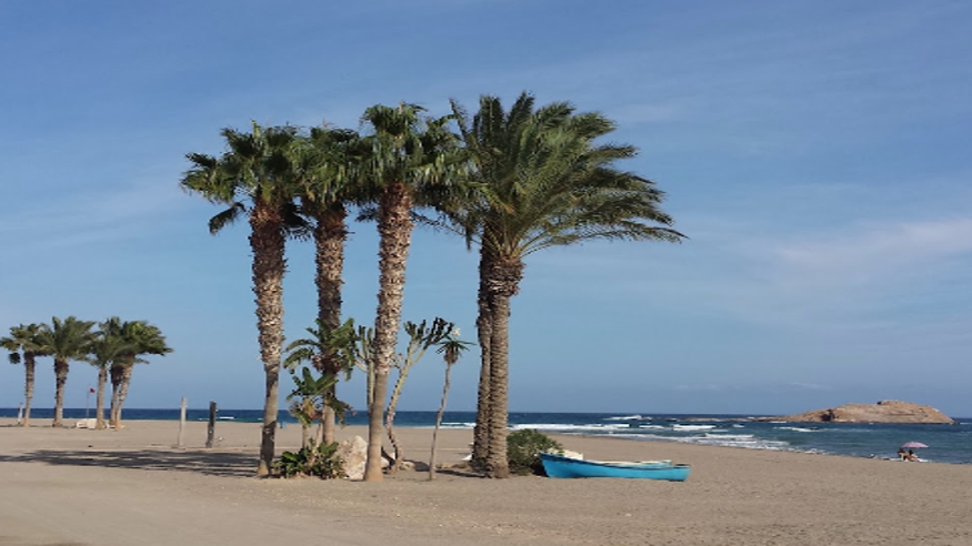 Submarinismo - Deportes agua - Windsurf -  Playa de los Barquicos O de los Cocones - ALMERIA