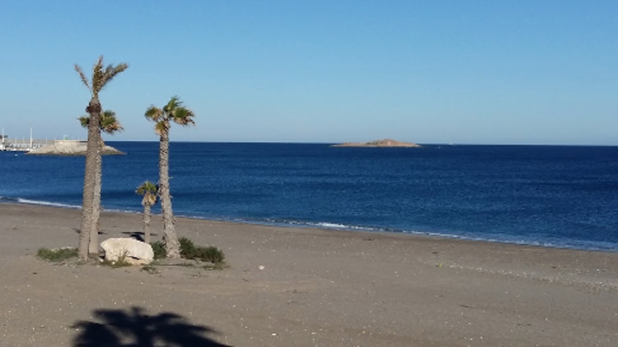 Natación - Deportes agua - Paddle surf -  Playa de la Torre Vieja - ALMERIA