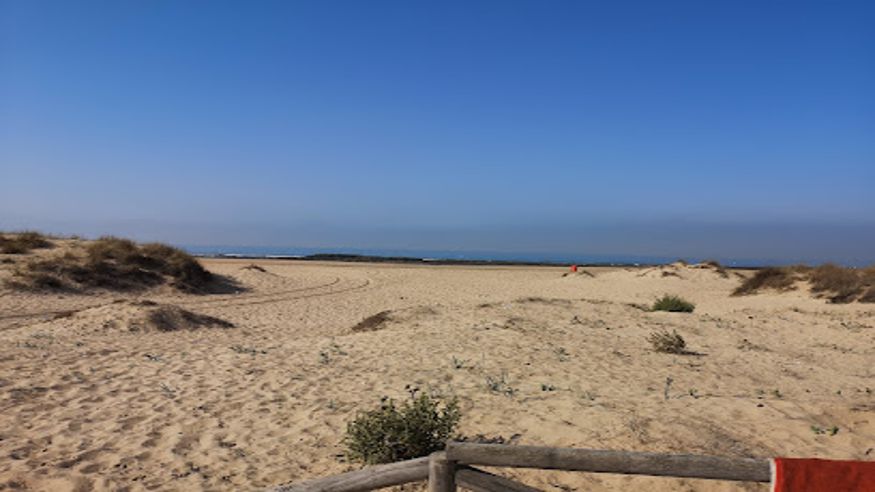 Infantil / Niños - Deportes agua - Paddle surf -  Playa de Santibáñez - CADIZ